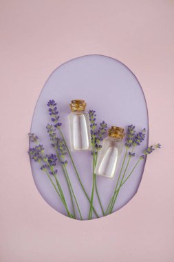 Cam şişedeki lavanta yağı ve lavanta çiçekleri birleşik pembe ve mor arkaplandalar.
