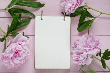 Şakayık çiçekleri. Bahar havası düz katman. Çiçek modeli.