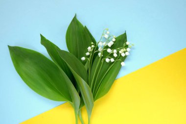 Vadideki zambak çiçek açabilir.