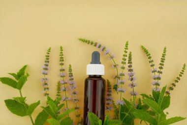 Nane yağı. Saf nane esanslı yağ, cam kahverengi bir şişede, bir pipet ve çiçek açan nane filizleriyle.