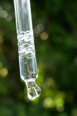 Pipette temel yağ. Yağ bitkisel özü. Bulanık yeşil arka planda bir pipette bitkisel özü.