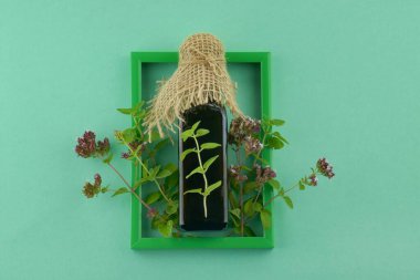 Oregano yağı. Kahverengi cam bir şişede organik kekik yağı ve çiçek açan kekik filizleri.
