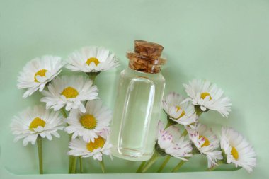 Papatya çayı özütü. Organik doğal vücut kozmetikleri. 