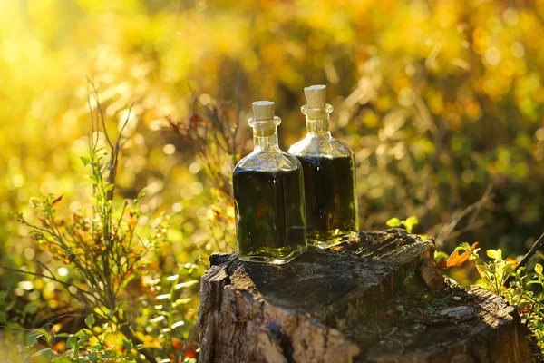 Tintura Verde Hierbas Bosque Otoñal Tintura Natural Hierbas Medicinales Una —  Fotos de Stock