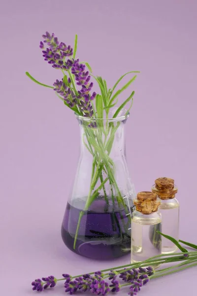 玻璃瓶中的薰衣草精油和粉色与紫色混合背景的薰衣草花 — 图库照片