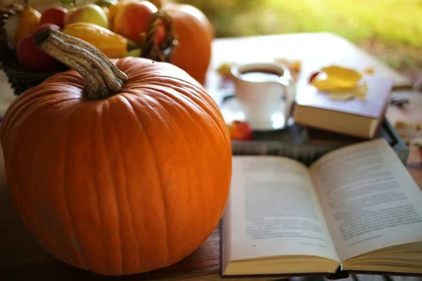 Reading in the autumn day.Autumn books.Autumn reading