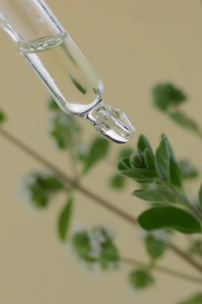 Aceite Esencial Mejorana Una Pipeta Vidrio Ramitas Verdes Frescas Mejorana — Foto de Stock