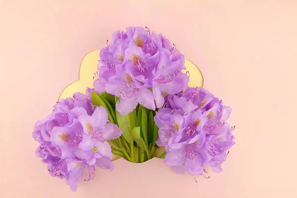 Flor Card Purple Flores Rododendro — Foto de Stock