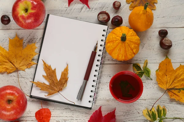 Notatnik Spadające Liście Jesienny Widok Tła — Zdjęcie stockowe
