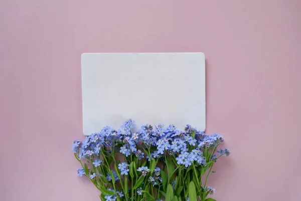 Primavera Plano Lay Flower Tarjeta Olvídame Flores Cuaderno Blanco Blanco — Foto de Stock