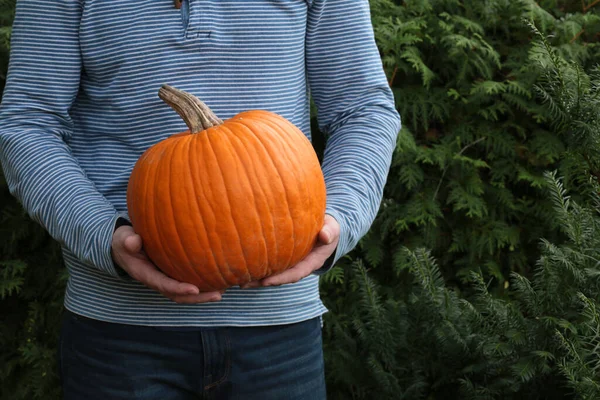Herbst Kürbis Ernten Ein Großer Orangefarbener Kürbis Den Händen Eines — Stockfoto