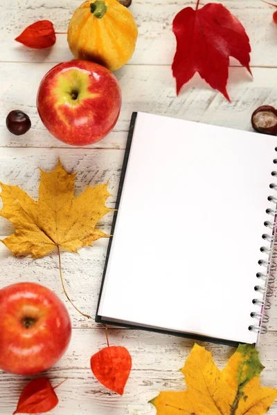 autumn background with fallen leaves and notepad