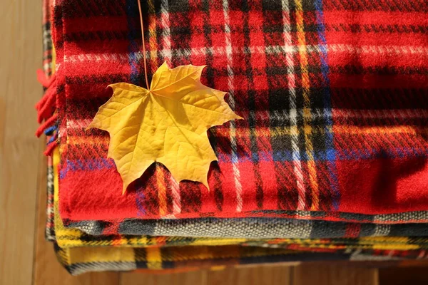 Autumn Yellow Maple Leaf Stack Checkered Scarves — Stock Photo, Image