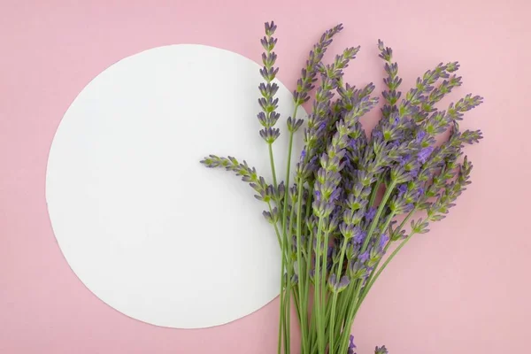 Flores Lavanda Background Top Ver — Foto de Stock