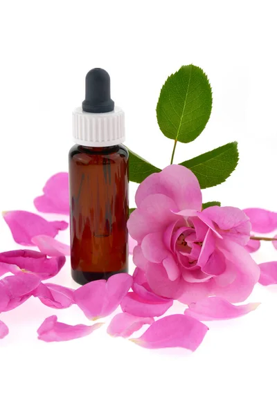 Aceite Esencial Rosa Botella Aceite Flor Rosa — Foto de Stock