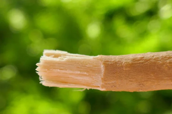 Miswak Natuurlijke Tandenborstel Close — Stockfoto