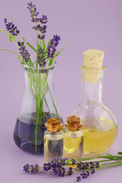 Ätherisches Lavendelöl Glasflasche Und Lavendelblüten Auf Kombiniertem Rosa Und Lila — Stockfoto