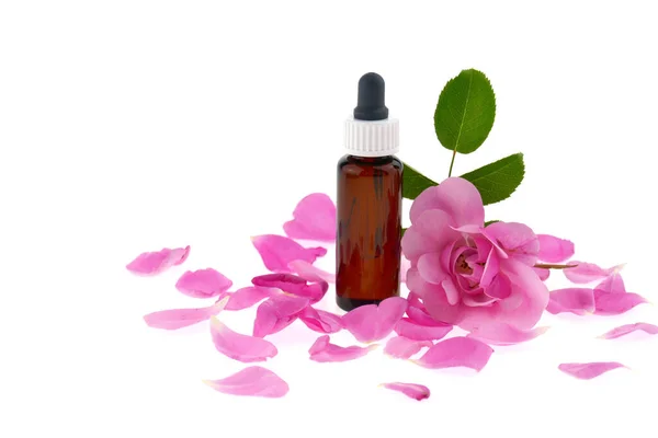 Rose Essential Oil Bottle Oil Rose Flower Stock Photo