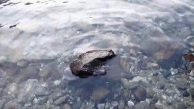 kristal berrak göl Kışın su