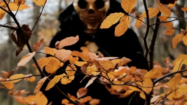 万圣节和恐怖的概念 秋天森林里的死亡 头盖骨之间的服装 秋天传统的化装舞会和狂欢节 死在秋天的森林里骷髅服装 高质量的照片 — 图库视频影像