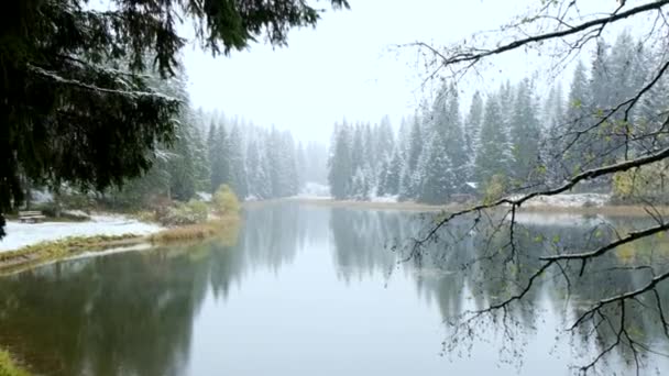 Hermosa Vista Del Lago Invierno Nevado — Vídeo de stock