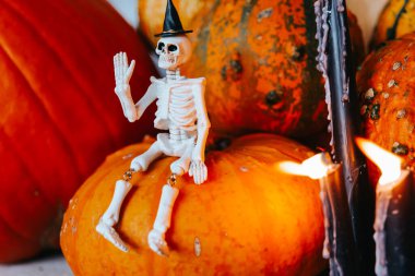  Cadılar Bayramı dekorasyonu. Cadılar Bayramı İskeleti Orange Pumpkin 'de oturuyor. Ürkütücü Ekim tatilinin atmosferi.. 