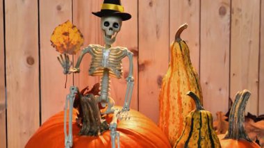 Ahşap zemin üzerinde balkabakları olan sarı yapraklı iskelet. Cadılar Bayramı tatili. Cadı Şapkalı İskelet ve Cadılar Bayramı Dekorasyonu. 4k görüntü