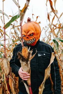Cadılar Bayramı Canavarı Maskesi, Mısır Labirenti 'nde Balkabağı Kafa. Mısır Tarlasında Kabak Maskeli Adam. 