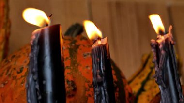 Cadılar Bayramı için Kara Mum. Balmumu damlatan siyah mumlar. Büyü, ezoterizm ve cadılık atmosferi. 4k görüntü