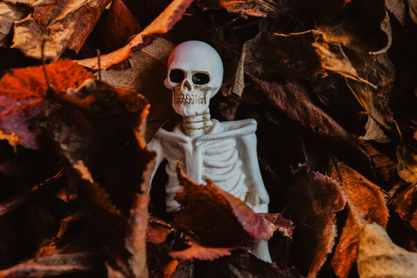 Halloween festive atmosphere.Skeleton decor in autumn burgundy and brown leaves.Halloween street decor.atmosphere of the creepy October holiday.autumn halloween decor. 