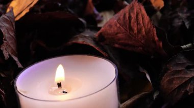 Cadılar Bayramı mum arka planı. Karanlık yaprakların içindeki yalnız bir mum alevi. Gotik karanlık atmosfer. Mum alevi ve sonbahar izinleriyle sıcacık sonbahar arkaplanı.