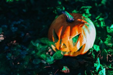 Sonbahar yeşilliğinde yeşil dumanlı şeytani balkabağı. Cadılar Bayramı korkunç balkabağı Jack 'in yakın plan yeşil dumanı. Sonbahar bayramı için korkunç bir süsleme..