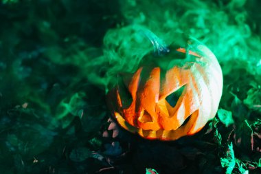 Karanlık çekimde yeşil dumanlı Cadılar Bayramı balkabağı Jack. Sonbahar bayramı için korkunç bir süsleme..