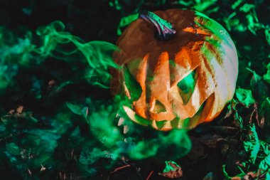 Sonbahar yeşilliğinde yeşil dumanlı şeytani balkabağı. Sis efektiyle çevrili korkunç oyulmuş balkabağı..