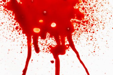 Kırmızı kan duvar kâğıdı. Kan beyaza sıçrar ve damlar. Beyaz arka planda kırmızı boya. Kan dokusu.