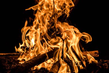 Siyah arka planda kıvılcımlar uçuşan bir gece yangını. Ateş ağaçları yakıyor. Yakın çekim şenlik ateşi. Kamp, ateş, yürüyüş, siyaha ateş.