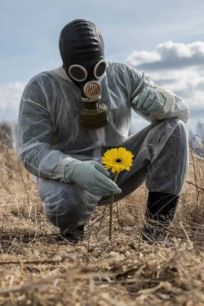 A strange man in a gas mask and chemical protective suit in the field looks at a yellow flower. Air pollution concept.