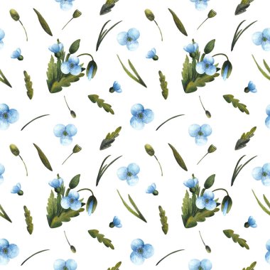 Beyaz arka planda, suluboya mavi gelinciklerin ve yeşil yaprakların kusursuz deseni. Hassas çiçek deseni tekstil, ambalaj kağıdı ve ambalaj tasarımı için mükemmeldir..