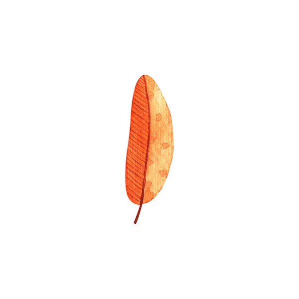 Акварель осінній лист. Осіннє червоне оранжеве листя текстури — стокове фото