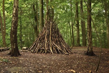 Kütük ve dallardan yapılmış kaba ahşap bir barınak.