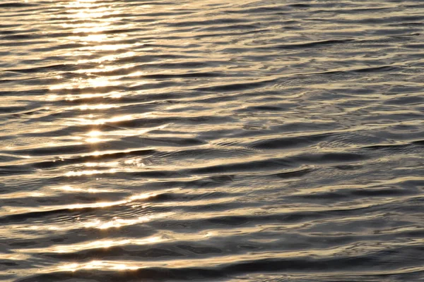 Ondes Ondulations Relaxantes Surface Mer Baltique Coucher Soleil — Photo
