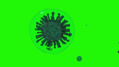 Coronavirus (COVID-19) tıbbi animasyon. Yeşil ekranda virüsün gerçekçi animasyonu