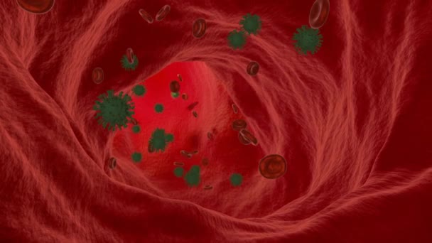 Illustration Einem Menschlichen Blutgefäß Coronavirus Kontaminiertes Blut — Stockvideo