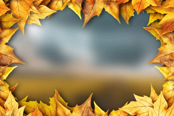 Blurry Autumn Background Frame Colorful Yellow Red Oak Foliage — Stock Photo, Image