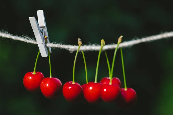 Cerezas Cuerda Jardín Día Soleado — Foto de Stock