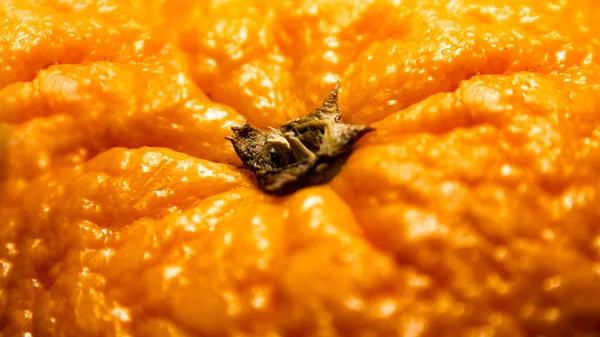 Orange Photographed Close — Stock Photo, Image