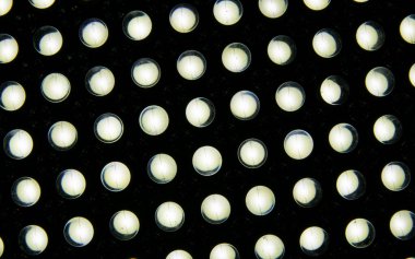 LED lambaların duvarı soğuk mavi