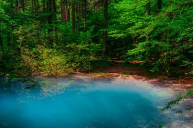 Ochiul Beiului, Romanya 'nın Beusnita Ulusal Parkı' ndaki Nera vadisinde küçük bir zümrüt göl.