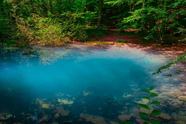 ルーマニアのベスニタ国立公園のネラ峡谷にある小さなエメラルド湖である落葉Beiului — ストック写真