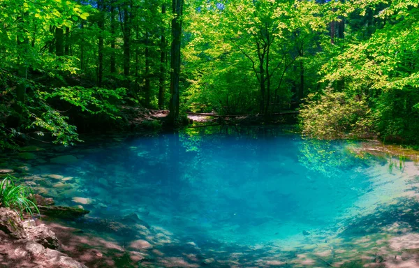 Ochiul Beiului Ein Kleiner Smaragdgrüner See Der Nera Schlucht Beusnita — Stockfoto